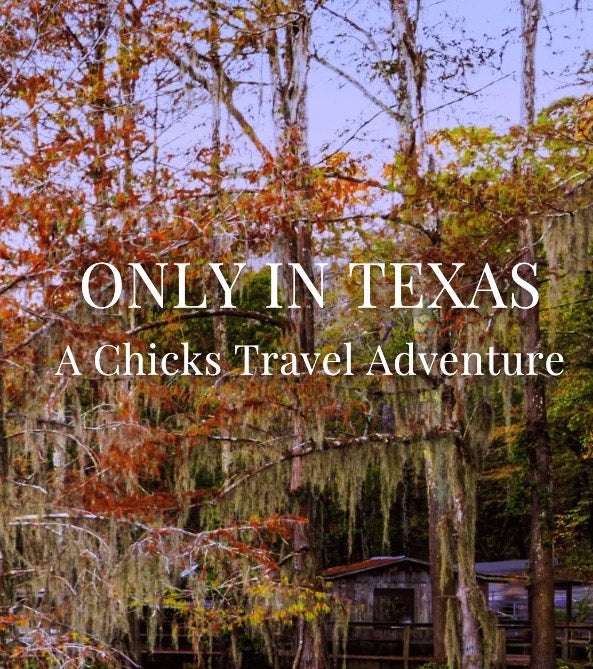 BOOK: Only in Texas: A Chicks Travel Adventure